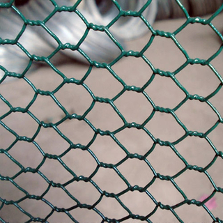 Hexagonal Wire Netting