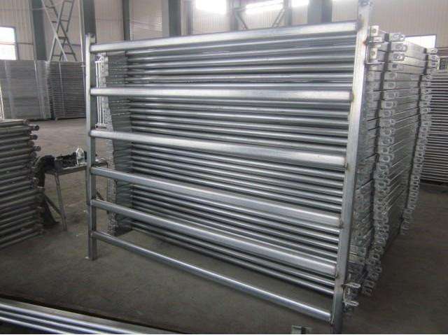 Cattle Panel