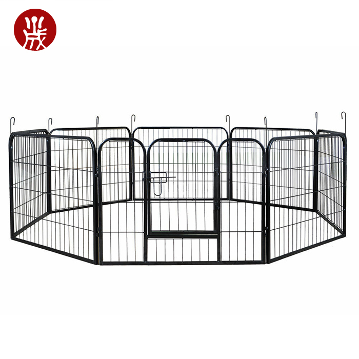 dog kennels cages