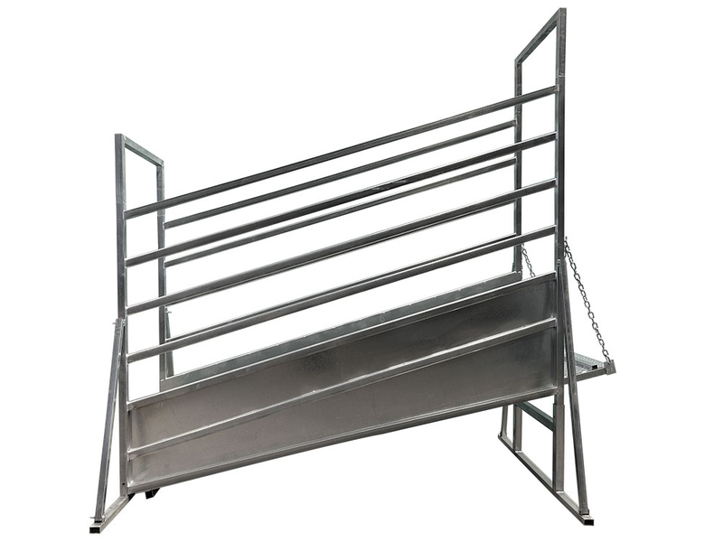 Cattle Ramp