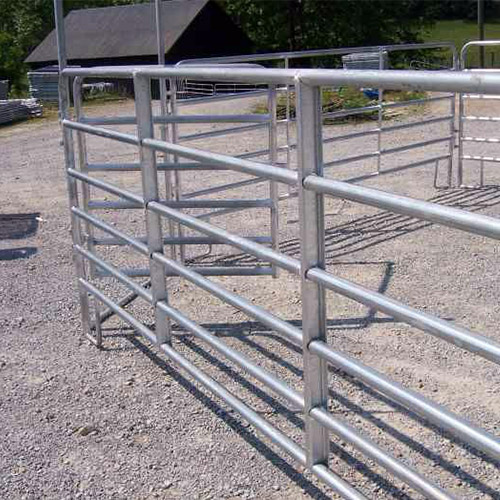 Cattle Fence