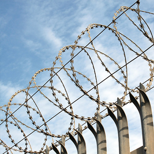 Barbed Wire