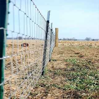 Deer Fence