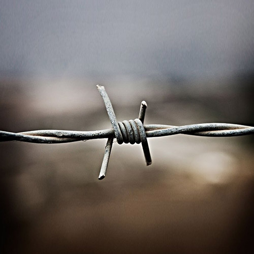 Barbed Wire