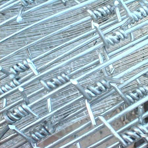 Stainless-Steel-Barbed-Wire1