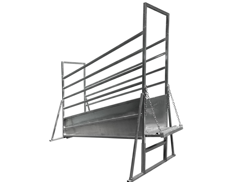 Cattle Ramp