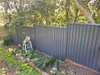 Colorbond Fencing