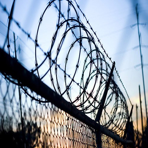 Razor wire6.jpg