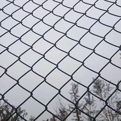 chain-link-fence1
