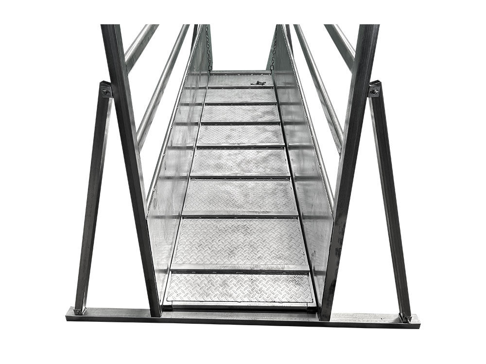 Cattle Ramp