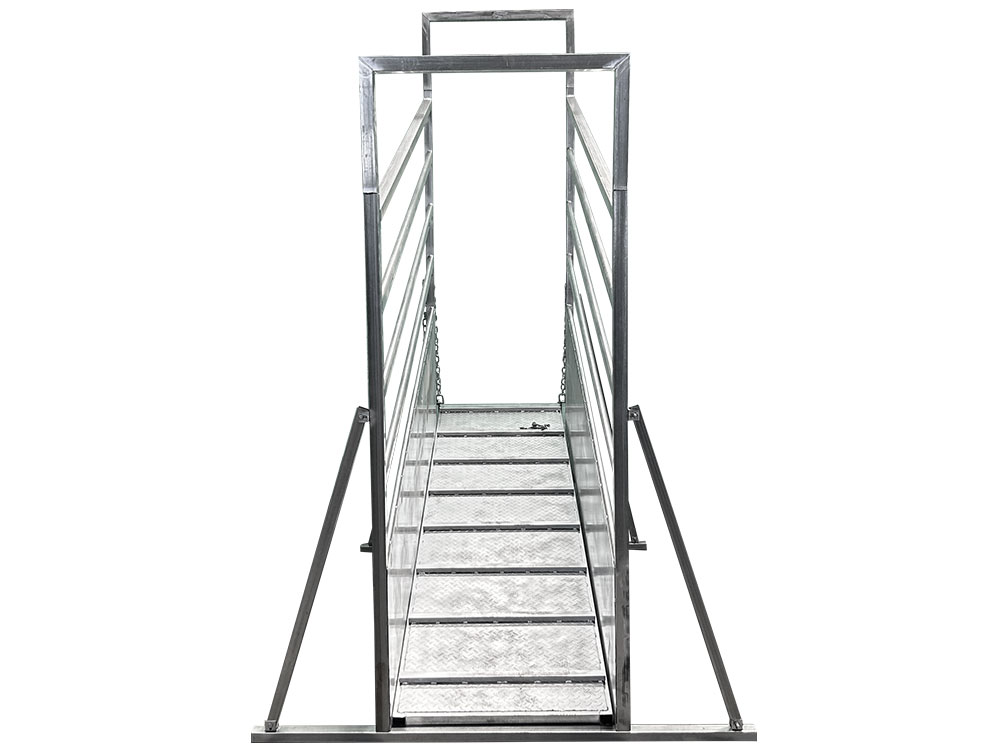 Cattle Ramp