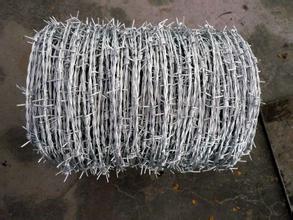 Barbed Wire Fence Introduce