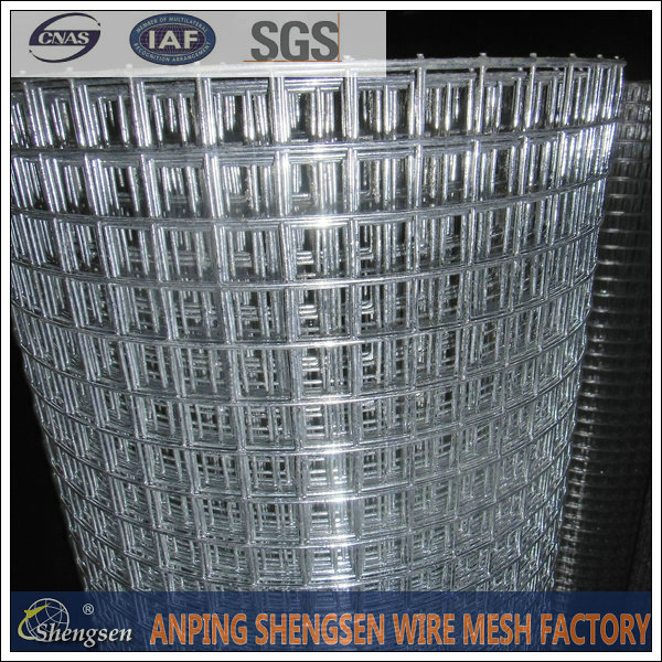 Welded Wire Mesh