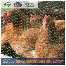galvanized chicken wire mesh