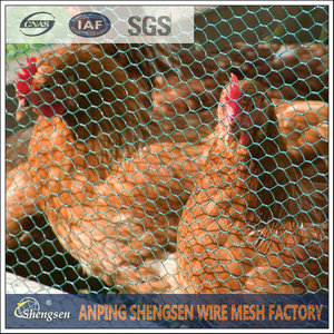 Chicken Wire Mesh Chicken Wire Mesh