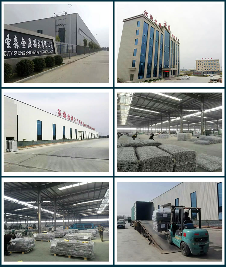 Hebei Shengsen Metal Products Co.Ltd