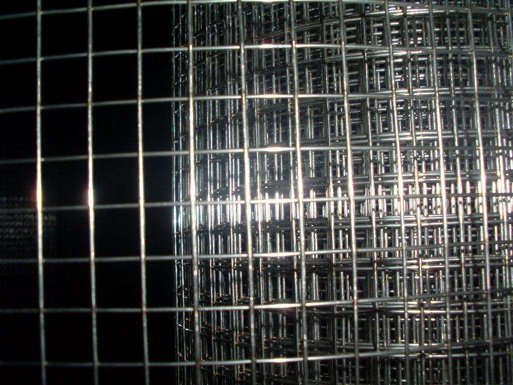 SS Welded Wire