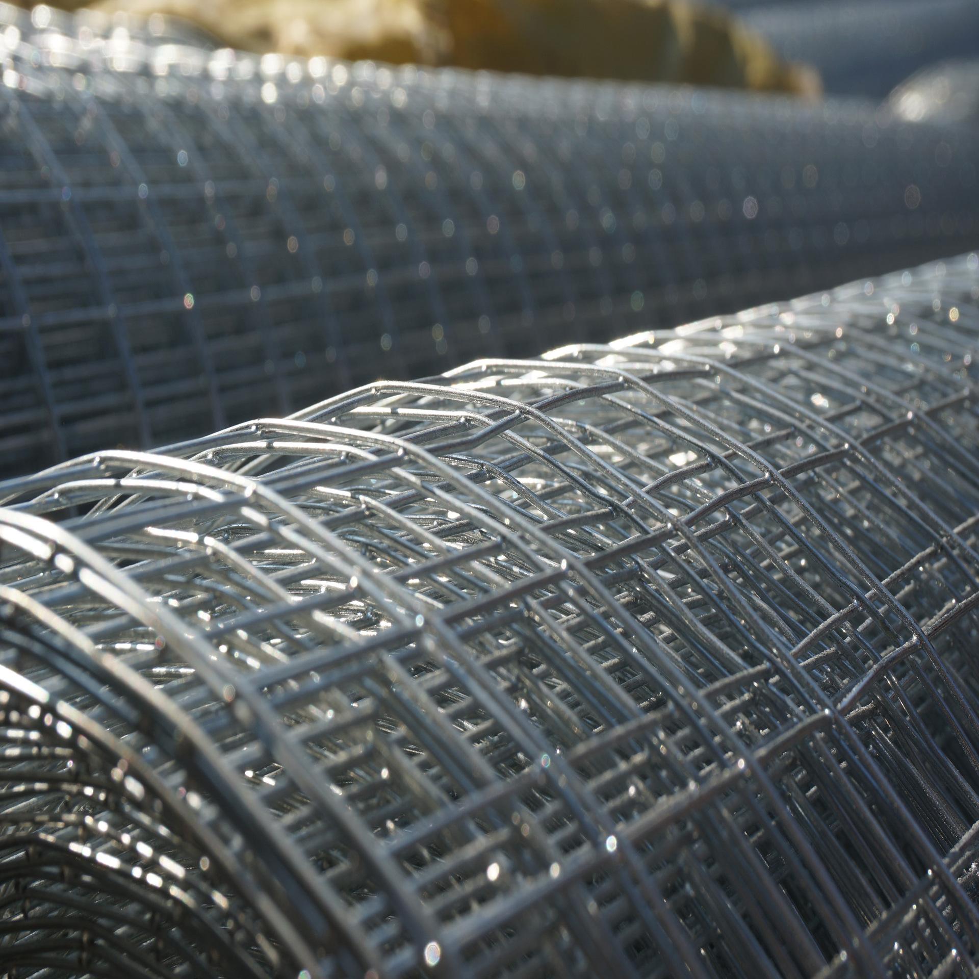 Galvanized Welded Wire Mesh