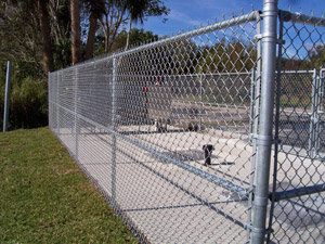Gavanized Chain Link Fencing