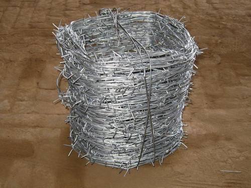 Barbed Wire