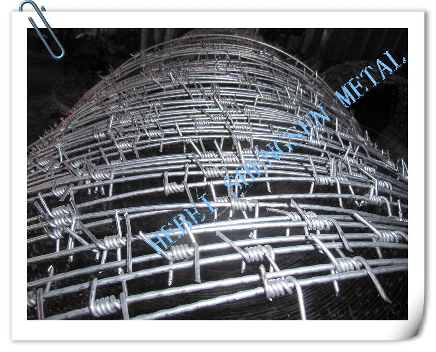 New type of barbed wire mesh with clips