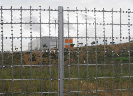 Welded Razor Wire Mesh——the “Diamond” in Wire Fence Welded Razor Wire Mesh——the “Diamond” in Wire Fence