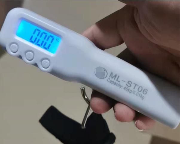 scale ng bagahe