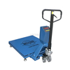 LP7627 Movable Floor Scales na may Frame