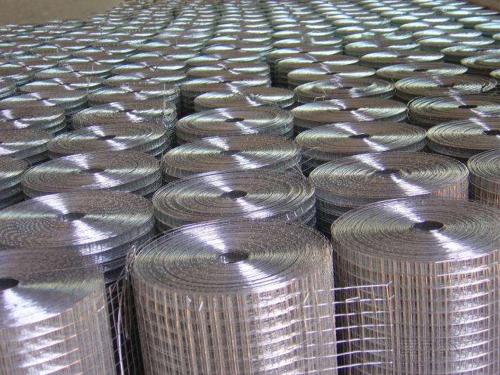 Welded Wire Mesh