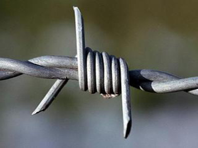 Barbed Wire