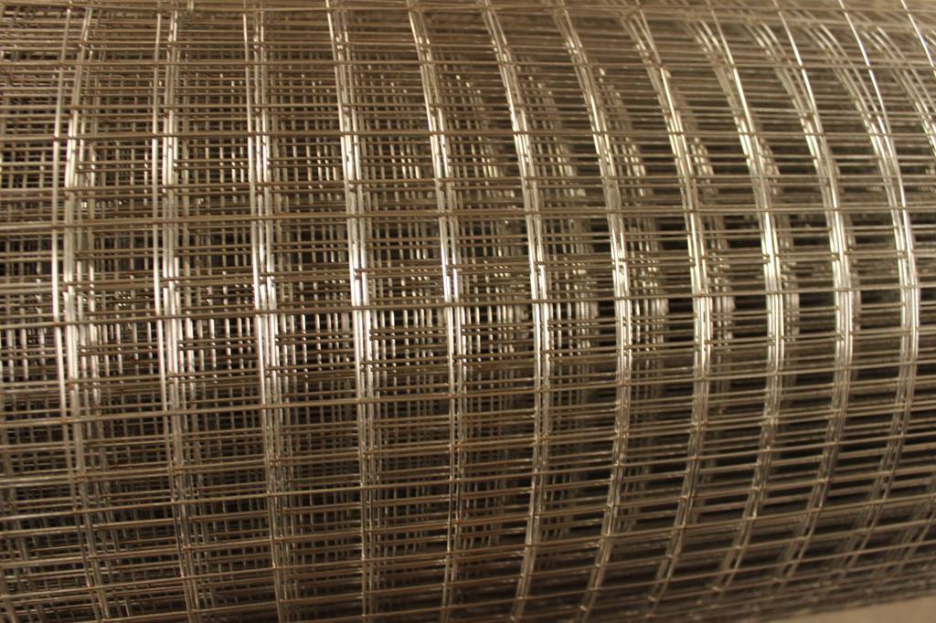 Welded Wire Mesh