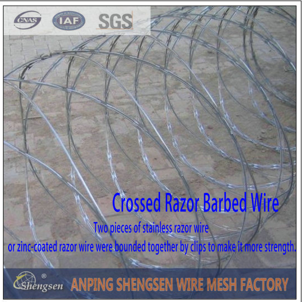 china shengsen razor barbed wire