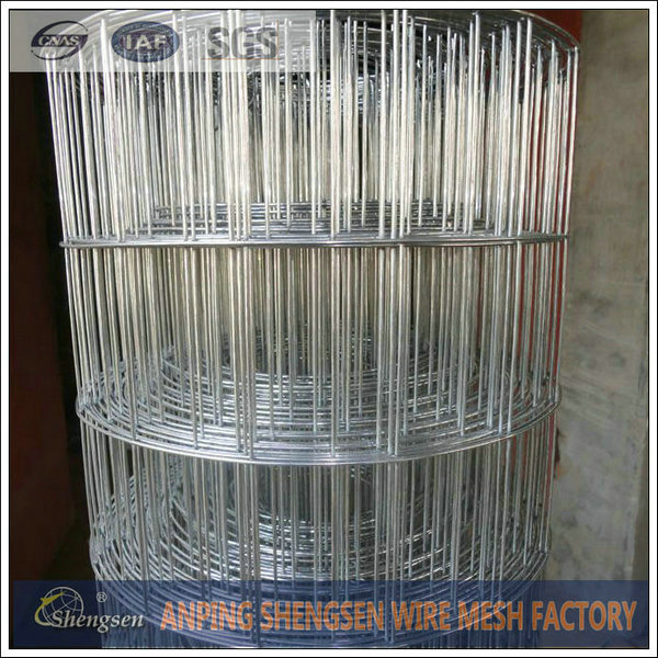 Welded Wire Mesh