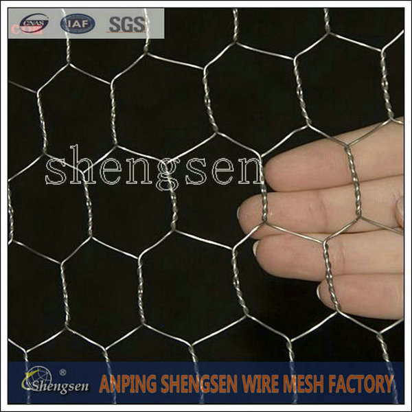 Chicken Wire Mesh