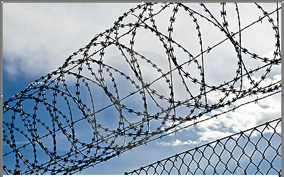 Barbed Wire--the soldier of new era Barbed Wire--the soldier of new era