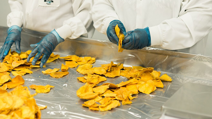Solutions de transformation des aliments