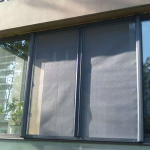 Window Screening