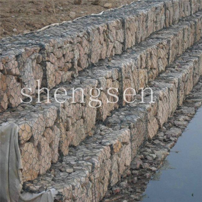 gabion mesh