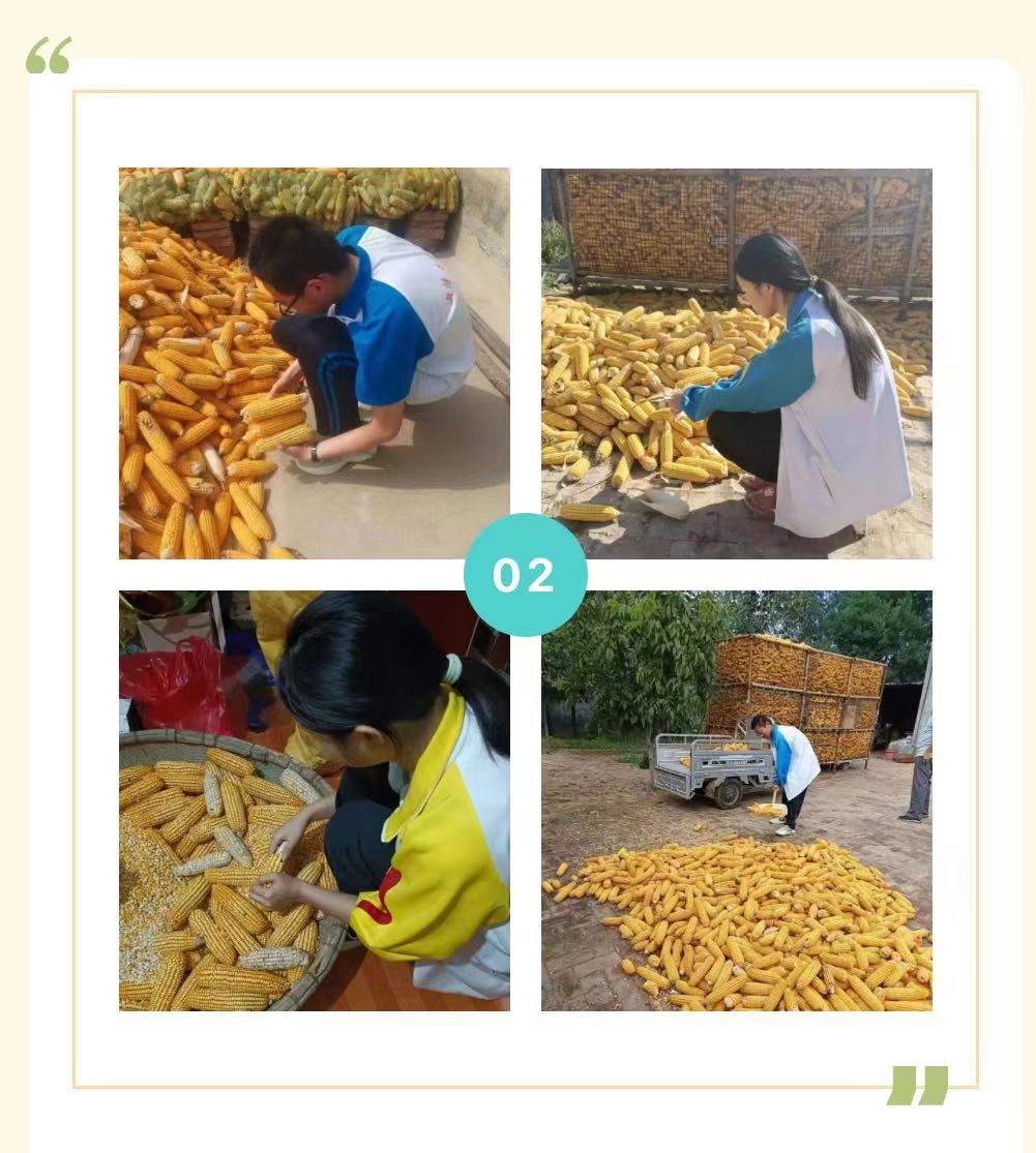 微信图片_20231116170053