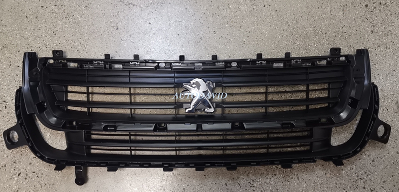 الشبكة الأمامية العلوية لشريك بيجو 2015 OEM: 1613573580 DVD47-0701-06