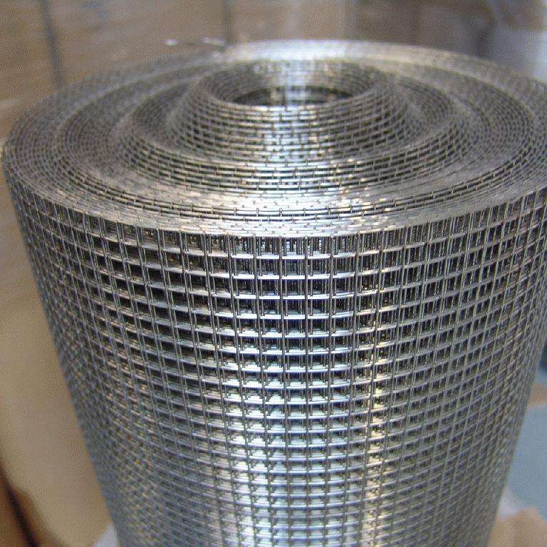 SS Welded Wire