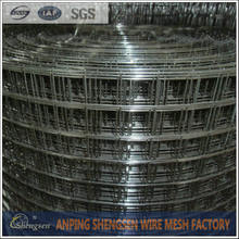 Welded Wire Mesh