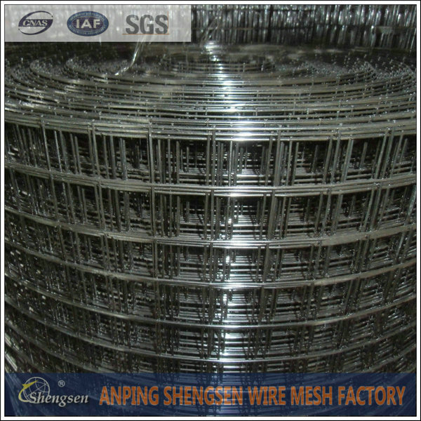 Welded Wire Mesh