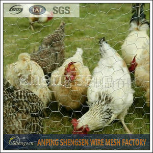 Chicken Wire Mesh