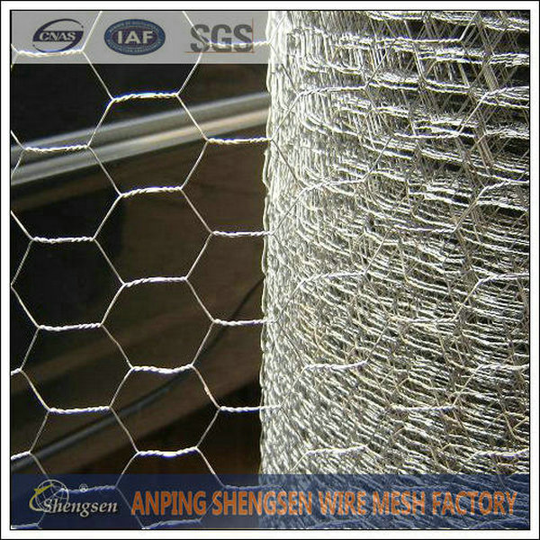 Chicken Wire Mesh