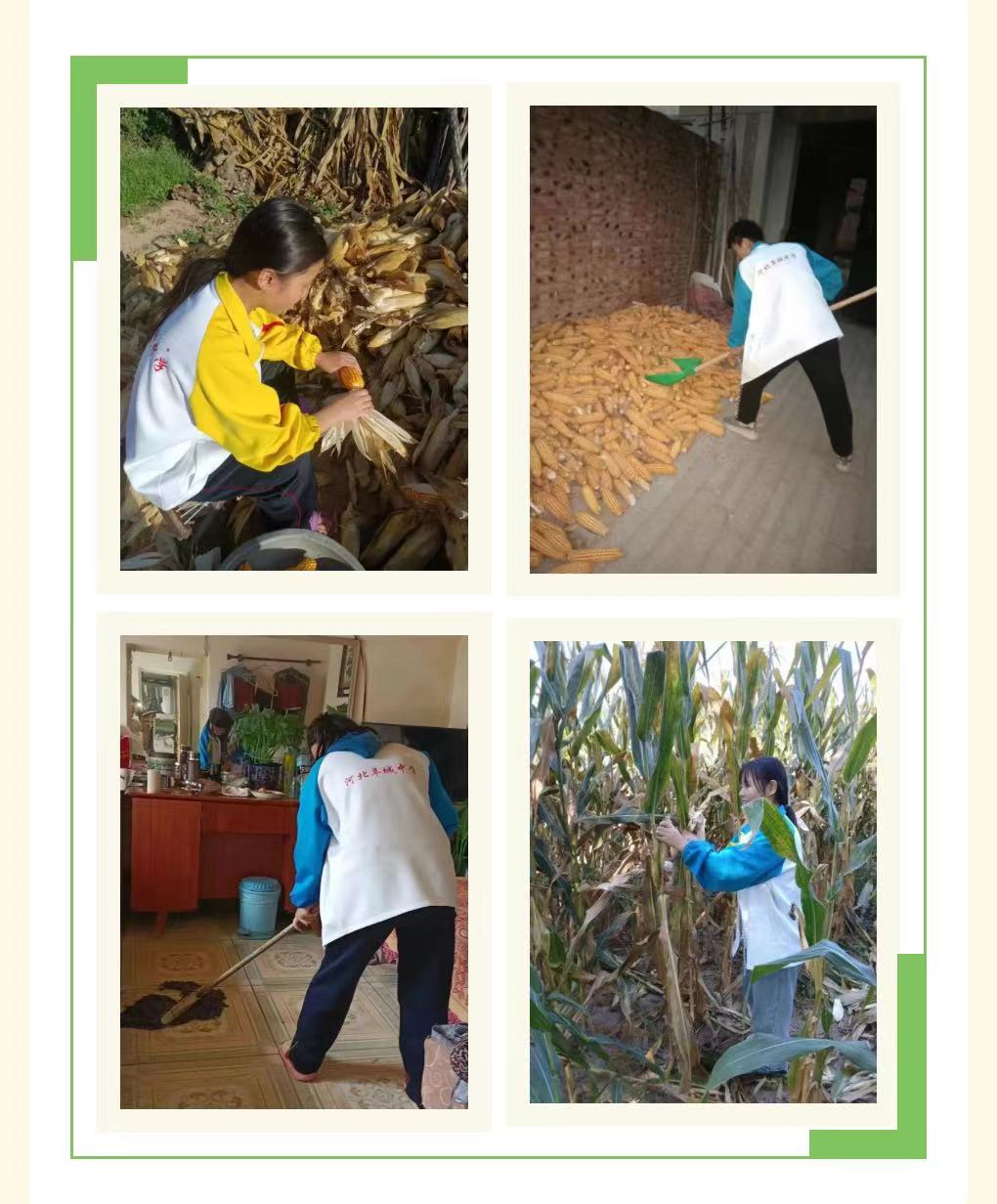 微信图片_20231116170103