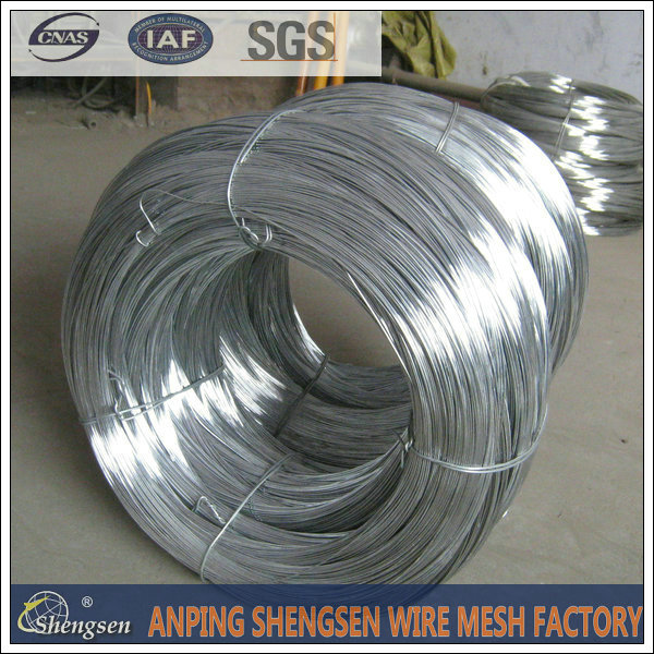 China Free Sample Galvanized Wire