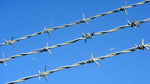 Zhengyang Barbed Wire Zhengyang Barbed Wire