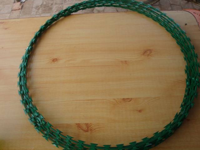 What should I pay attention to when purchasing PVC Coated Razor Wire? There are a lot of products that can be seen now, especially some protective products, which can provide more protection for our lives and many industries, so it can become a product that people will now know. Among them, PVC Coated Razor Wire can be said to be a guardrail that can be used in many places nowadays. Such PVC Coated Razor Wire can be used in many places, such as public places, highway construction, etc., and such guardrails are used. So now I have the question of PVC Coated Razor Wire, how can I choose the right one? When choosing such a PVC Coated Razor Wire, you can understand it in many aspects, such as the resistance of the product, and the performance, quality, flexibility, etc. I have to learn. The current PVC Coated Razor Wire can play a role in protecting the road. It can be used in highway protection and in the protection of related public places. If you want to use such a PVC Coated Razor Wire, you need to go through a lot of considerations before purchasing PVC Coated Razor Wire.