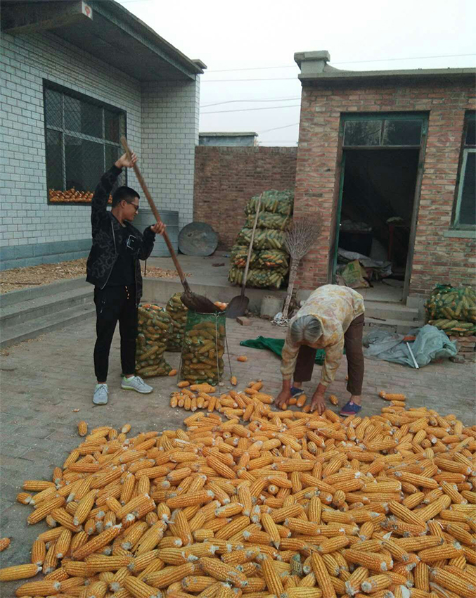 高一5班王建荣